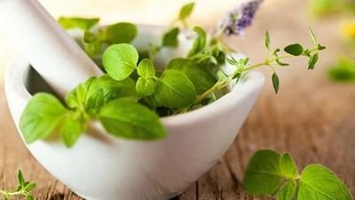 health tips : આયુર્વેદિક જડીબુટ્ટીઓ તણાવ અને ચિંતા દૂર કરવામાં રાહત આપે છે, જાણો ઉપયોગ કેવી રીતે કરવો