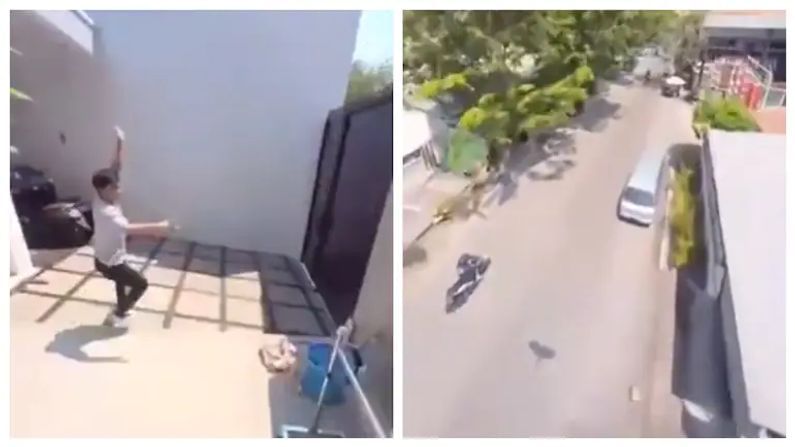 Viral Video : પોપટ ફોન લઈને ઉડી ગયો ! પછી જે થયુ એ જોઈને તમે પણ આશ્વર્યચકિત થઈ જશો