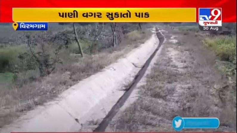 AHMEDABAD : વિરમગામના કારિયાણા ગામની કેનાલમાં 8 વર્ષથી નથી છોડવામાં આવ્યું પાણી