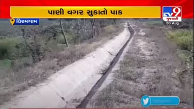 AHMEDABAD : વિરમગામના કારિયાણા ગામની કેનાલમાં 8 વર્ષથી નથી છોડવામાં આવ્યું પાણી AHMEDABAD : વિરમગામના કારિયાણા ગામની કેનાલમાં 8 વર્ષથી નથી છોડવામાં આવ્યું પાણી