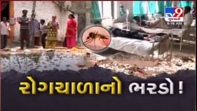 VADODARA : શહેરમાં મચ્છરજન્ય રોગ વધતા VMCનું આરોગ્ય તંત્ર કામે લાગ્યું, ડોર ટુ ડોર તપાસ હાથ ધરાઈ