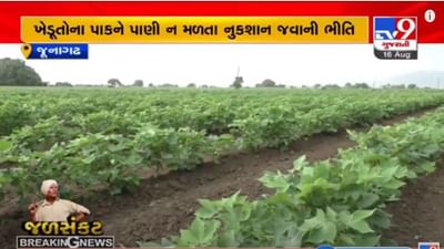 JUNAGADH : વરસાદ ખેંચાતા પાક નિષ્ફળ જવાનો ભય,  સિંચાઈનું પાણી આપવા ખેડૂતોની માંગ