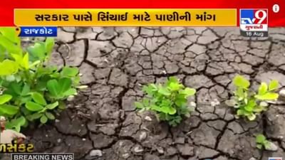 RAJKOT : સિંચાઈનું પાણી નહીં મળે તો ધોરાજીના ખેડૂતોનો પાક નિષ્ફળ જશે