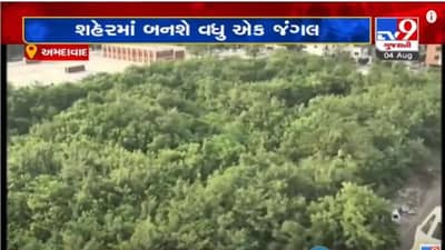 AHMEDABAD : ગોતા વોર્ડમાં શહેરનું મોટું અને ચોથા નંબરનું જંગલ બનશે, 65 હજાર વૃક્ષોનું મિયાવાકી પદ્ધતિથી વૃક્ષારોપણ થશે