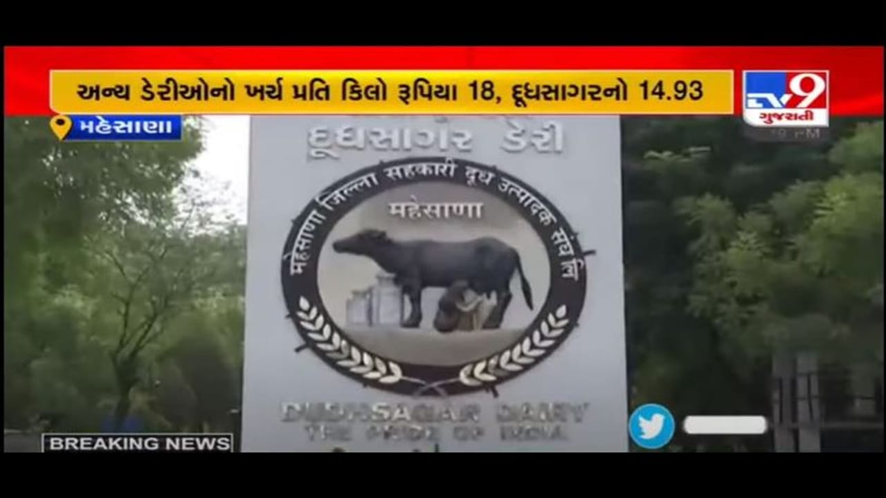 MEHSANA : પશુઆહાર મામલે દૂધસાગર ડેરીની સિદ્ધી, પશુઆહારની સૌથી ઓછી પડતર કિંમત ધરાવતી ડેરી બની MEHSANA : પશુઆહાર મામલે દૂધસાગર ડેરીની સિદ્ધી, પશુઆહારની સૌથી ઓછી પડતર કિંમત ધરાવતી ડેરી બની