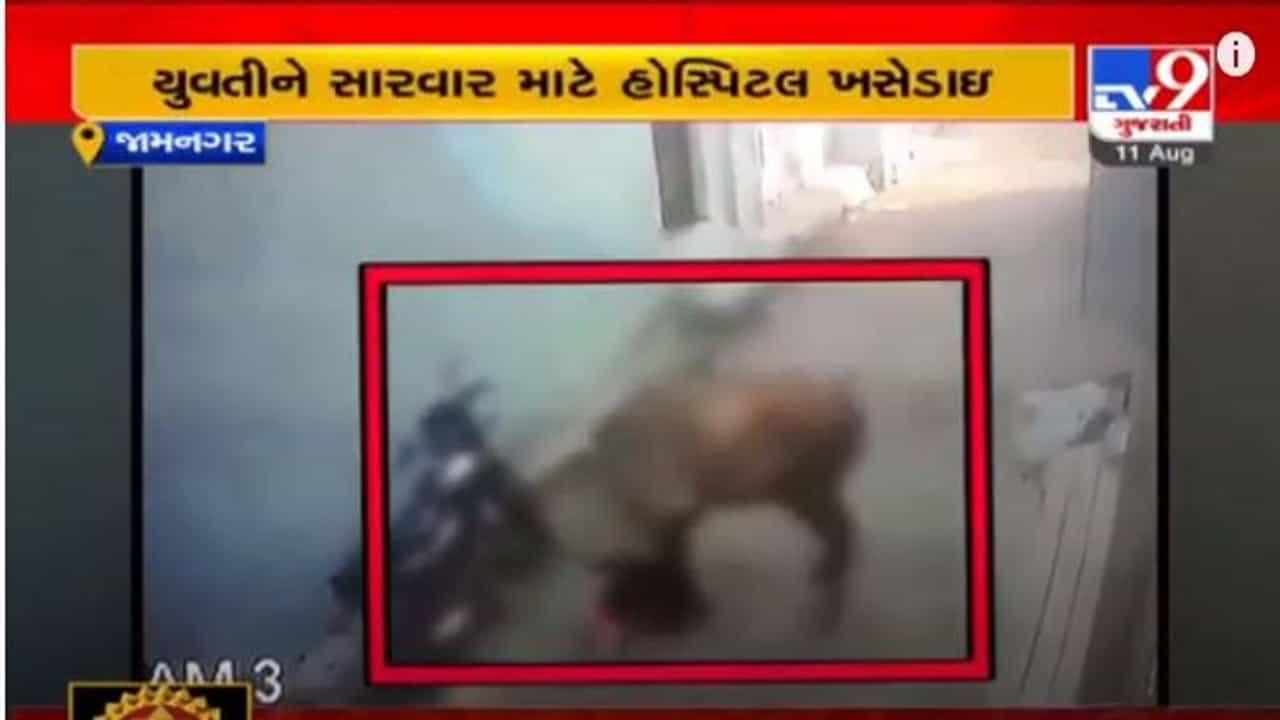 JAMNAGAR : રખડતા ઢોરે હુમલો કરતા યુવતી ઈજાગ્રસ્ત, જી.જી. હોસ્પિટલમાં દાખલ કરાઈ