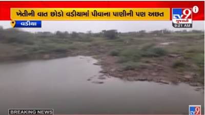 AMRELI : વડીયામાં ખેતી સાથે પીવાના પાણીની પણ અછત, ખેડૂતોમાં ચિંતા