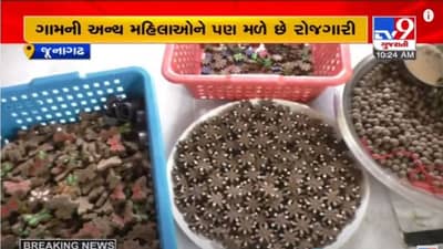 JUNAGADH : ગાયના છાણમાંથી રાખડી બનાવી આત્મનિર્ભર બની રહી છે કોયલી ગામની મહિલાઓ