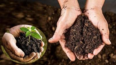 Organic Fertilizer Making : ગાયના ઓછા છાણમાંથી બને છે કાર્બનિક ખાતર, જાણો નાદેપ પદ્ધતિ વિશે