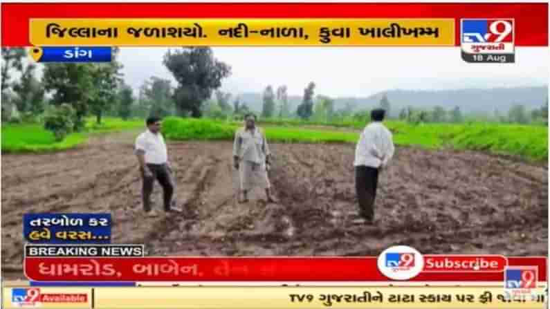 ગુજરાતના ચેરાપૂંજી ગણાતા ડાંગમાં પણ વરસાદની ઘટ, ખેડૂતોની હાલત કફોડી