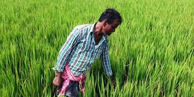 પાકની સાથે રાસાયણિક દવાઓ ખેડૂતોના સ્વાસ્થ્ય પર પણ કરે છે અસર, જાણો આરોગ્ય પર શું પડે છે અસર