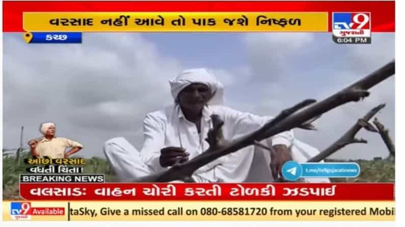 Kutch : અંજારમાં ખેડૂતો વરસાદ લંબાતા ચિંતિત, પિયત વિસ્તારમાં પણ પાક સુકાતા સરકાર પાસે રાહતની માંગ