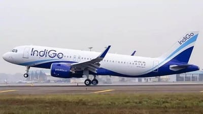 IndiGo: દેશની સૌથી મોટી એરલાઇન ઇન્ડિગોએ શરૂ કરી નવી સર્વિસ, હવે મુસાફરોને લાંબી કતારોમાંથી મળશે મુક્તિ