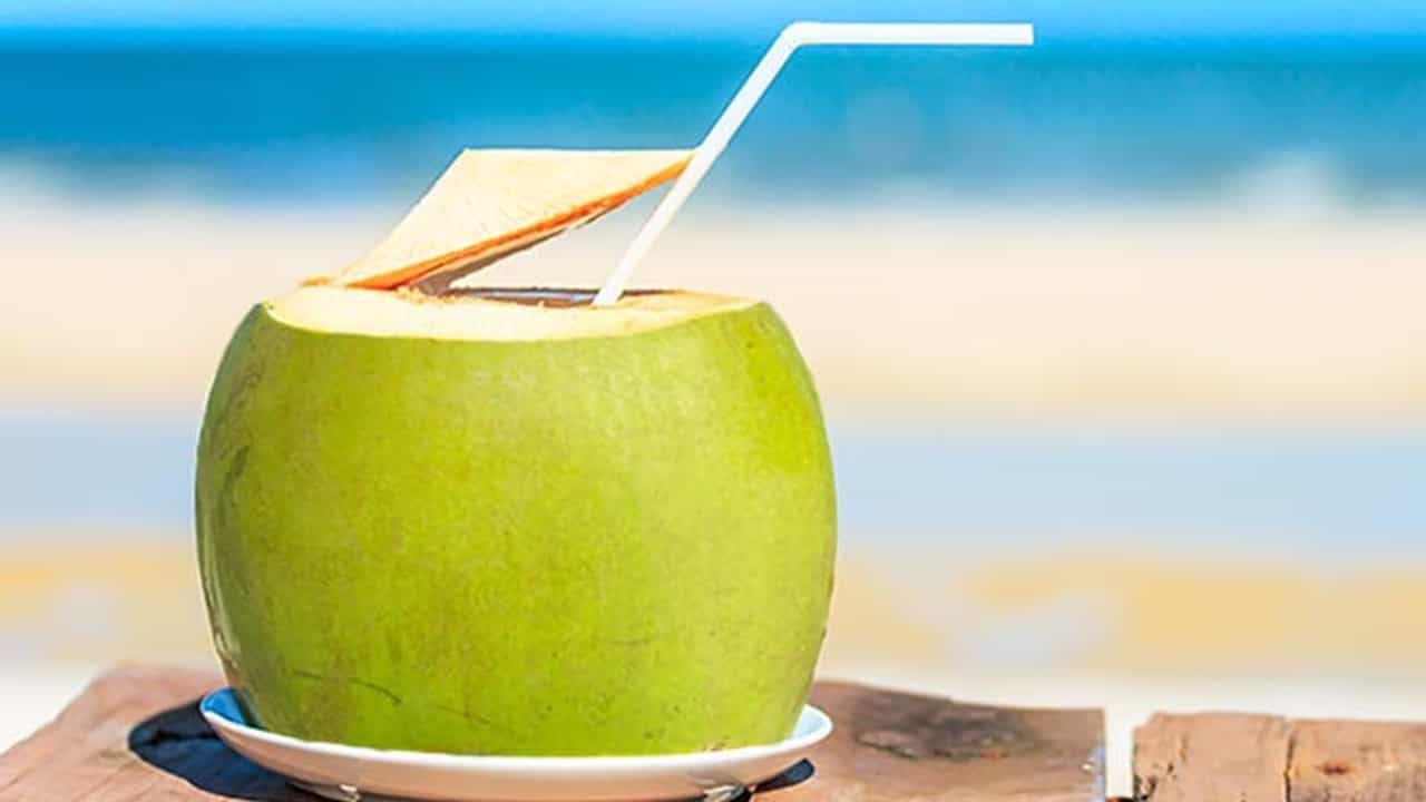 નારિયેળ પાણીના સેવન સિવાય ત્વચા પર લગાવવાના આ ફાયદા તમે પણ નહીં જાણતા હોવ, જાણો રીત