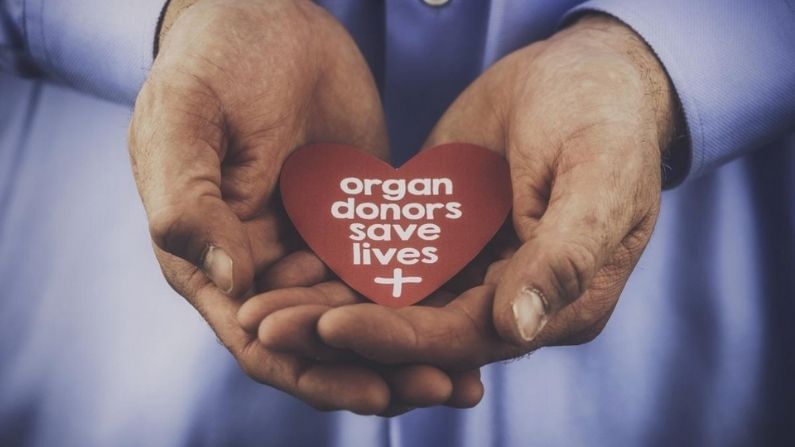 World Organ Donation Day 2021: બિગ બીથી લઈને બજરંગી ભાઈજાન સુધી, જાણો બોલિવૂડના ક્યા કલાકારોએ કર્યું છે અંગદાન