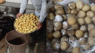 RAJKOT : ફરાળી પેટીશના નામે થઇ રહ્યા છે લોકોની આસ્થા સાથે ચેડા,આ લોટનો થતો હતો ઉપયોગ