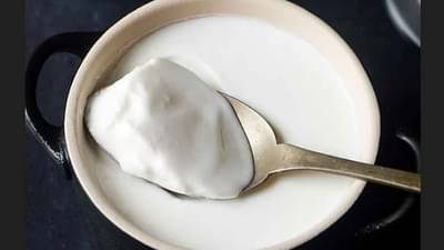 દહીં ખાંડ સાથે ભેળવીને ખાવું જોઈએ કે મીઠા સાથે? ફાયદા અને નુક્સાન જાણીને તમે પણ બદલી દેશો રીત