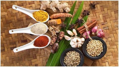 Immunity booster: વાયરસ-ફલૂથી દૂર રહેવા માટે આ 5 ફૂડ્સને ડાયટમાં સામેલ કરો