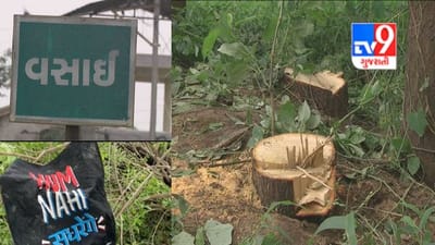 Sabarkantha: ઇડરના વસાઇમાં ચંદન તસ્કરોનો ત્રાસ, સુગંધીત પ્રાકૃતિક ચંદનના વૃક્ષોની તસ્કરીથી વધી પરેશાની