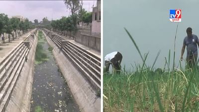 Sabarkantha: જીલ્લામાં એકેય જળાશયમાંથી નથી અપાતા ખેડૂતોને કેનાલના પાણી, 2.28 લાખ હેકટર ખેતી પર સંકટ