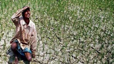 PM Kisan FPO Yojana: ખેતી સાથે જોડાયેલો ધંધો કરવા માટે સરકાર આપી રહી છે પૈસા, જાણો યોજના વિશે