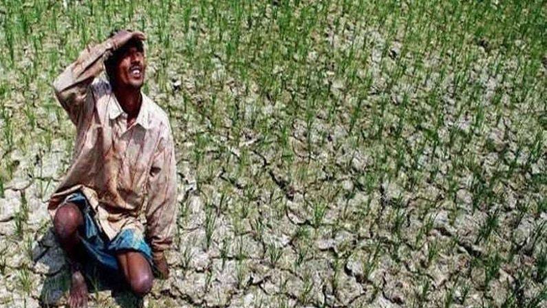 PM Kisan FPO Yojana: ખેતી સાથે જોડાયેલો ધંધો કરવા માટે સરકાર આપી રહી છે પૈસા, જાણો યોજના વિશે