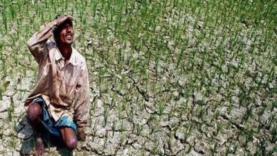 PM Kisan FPO Yojana: ખેતી સાથે જોડાયેલો ધંધો કરવા માટે સરકાર આપી રહી છે પૈસા, જાણો યોજના વિશે