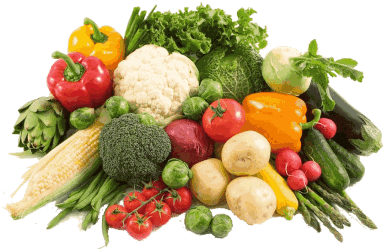 સપ્ટેમ્બર માસમાં ખેડૂતોએ આ શાકભાજીની ખેતી કરવી જોઈએ, સારા ઉત્પાદનની સાથે મળશે વધારે નફો