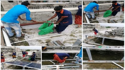 AHMEDABAD : સિવિલ હોસ્પિટલમાં મચ્છરજન્ય-પાણીજન્ય રોગચાળાથી બચવા પૂર્વેની અસરકારક કામગીરી