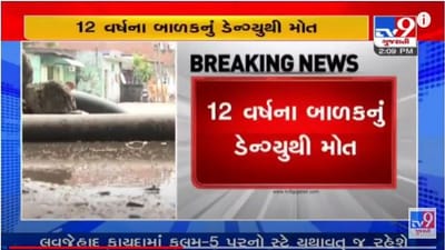 Ahmedabad: કોરોના બાદ હવે મચ્છરજન્ય રોગનો કહેર, ડેન્ગ્યુના કારણે 12 વર્ષના બાળકનું મોત