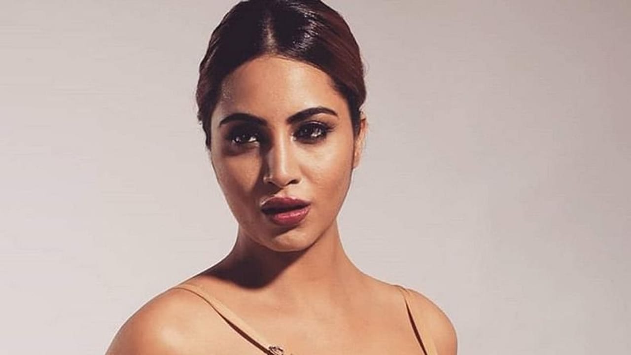 Arshi Khanને લોકોએ કહી 'પાકિસ્તાની', અભિનેત્રીએ કહ્યું- મૂળ અફઘાની છે અને હું ફક્ત હિન્દુસ્તાની છું