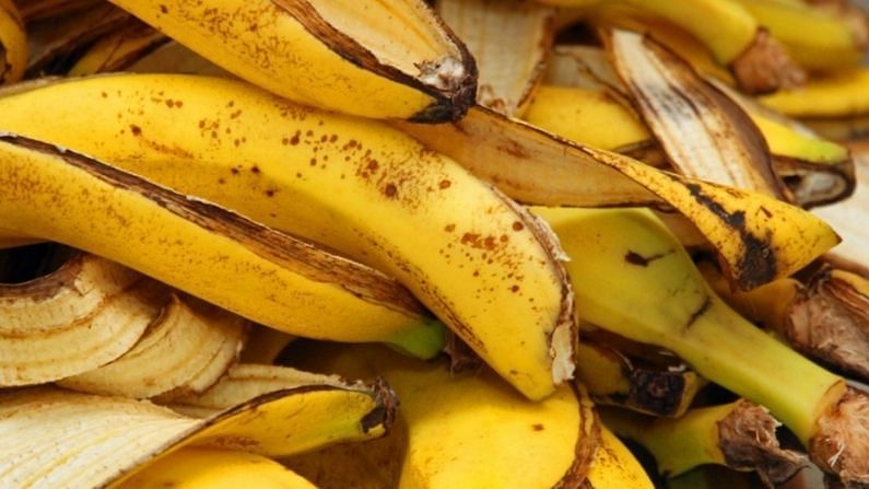 Health Tips: કેળાની છાલ કચરો નહીં સોનું છે, ફાયદા જાણીને તમે પણ ફેંકી દેતા પહેલા એકવાર વિચારશો