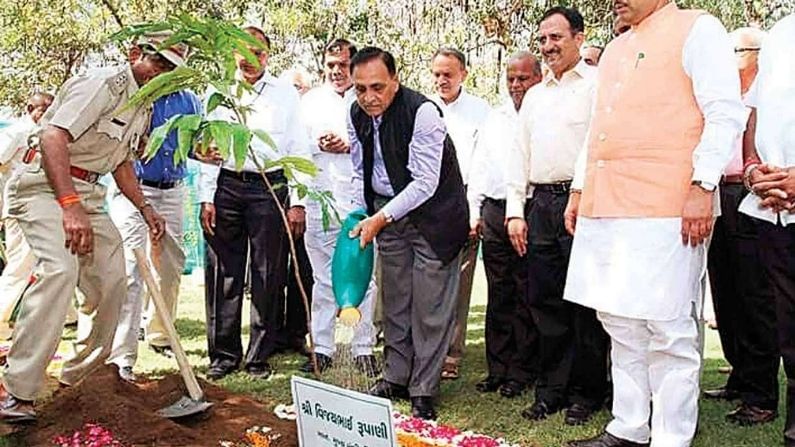 ગુજરાત સરકારનો વન મહોત્સવમાં આટલા કરોડ વૃક્ષો રોપવાનો લક્ષ્યાંક, ગ્રીન કવર વધારવાનો પ્રયાસ