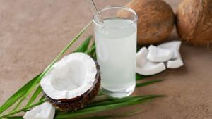 Coconut Water : નાળિયેર પાણી ત્વચા અને વાળ માટે ખૂબ ફાયદાકારક છે, જાણો તેનો ઉપયોગ કેવી રીતે કરવો