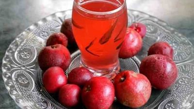 Health Tips : કુદરતી ઠંડક આપતા કોકમનું જ્યુસ પીવાના છે આ ફાયદા