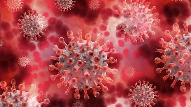 Coronavirus Origin China: કોરોના વાયરસ કેવી રીતે ફેલાયો? ચીને WHOને આંકડા આપવાનો કર્યો ઈનકાર