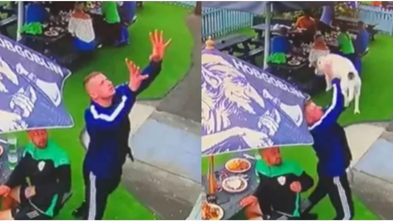 Viral Video: બારીમાંથી અચાનક કુદ્યો શ્વાન, વ્યક્તિએ આવી રીતે બચાવ્યો જીવ, વીડિયો તમારું પણ જીતી લેશે દિલ