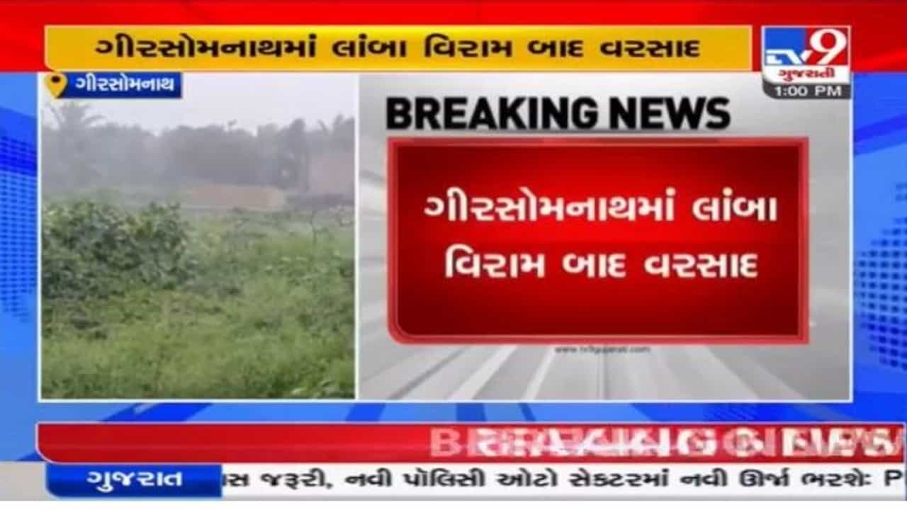 Gir Somnath : લાંબા વિરામ બાદ વરસાદ, ખેડૂતોમાં ખુશીની લહેર