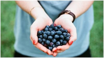 Skin Care Tips : બ્લુબેરીના હોમમેડ ફેસ પેકથી સ્કિન થશે એકદમ ક્લિઅર અને ગોરી