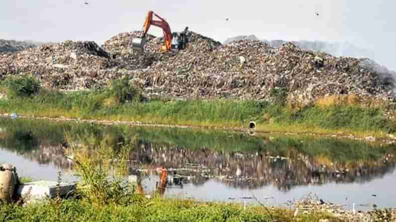 Surat News: સુરતના 2100 મેટ્રિક ટન કચરામાંથી દર મહિને 11 વીઘા જમીનને ફળદ્રુપ બનાવવામાં આવે છે