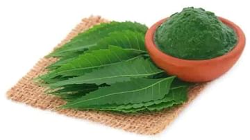 Hair and Skin Care Tips : લીમડાનું પાણી અને પેસ્ટ બન્ને છે ત્વચા અને વાળ માટે ગુણકારી, જાણો કેવી રીતે ?