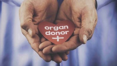 Surat : આજે વર્લ્ડ ઓર્ગન ડે : આખા ગુજરાતમાં અંગદાન કરવામાં પણ સુરત નંબર 1