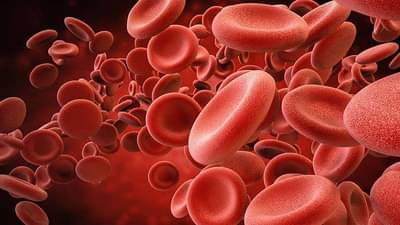 Health Tips : શું કરવું જ્યારે ડોક્ટરો કહે છે કે પ્લેટલેટ કાઉન્ટ ઘટી ગયા છે ?