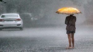 Rain Alert: મહારાષ્ટ્રમાં ફરી શરૂ થયો વરસાદ, મુંબઈથી લઈ મરાઠવાડા સુધી ભાર વરસાદની હવામાન વિભાગની આગાહી