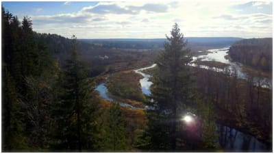 આ છે દુનિયાની રહસ્યમય જગ્યા, જ્યાં મંદબુદ્ધિના લોકો પણ બની જાય છે ચાલાક