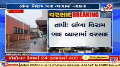 Tapi : લાંબા વિરામ બાદ અનેક તાલુકાઓમાં વરસાદ, ખેડૂતોમાં ખુશીની લહેર