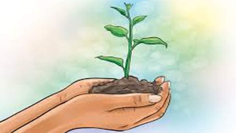 Shravan 2021 : શાંતિ અને સંતતિની પ્રાપ્તિ માટે શ્રાવણમાં અચૂક વાવો આ વૃક્ષ !