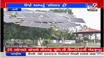 Vapi નગરપાલિકાનો નવતર પ્રયોગ, બગીચામાં ઉર્જા આપતું સોલાર ટ્રી નિર્મિત કર્યું