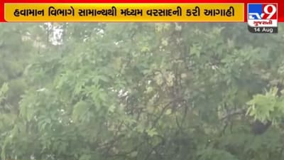 Gujarat Rain: ખેડૂતો માટે રાહતના સમાચાર, હવામાન વિભાગે કરી સારા વરસાદની આગાહી, જાણો ક્યારે થશે ચોમાસુ એક્ટિવ