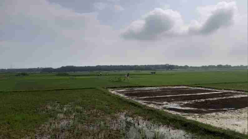 Farmer Alert: 24 કલાકમાં આ રાજ્યમાં પડી શકે છે ભારે વરસાદ, પાંચ દિવસ હવામાનની જાણો શું રહેશે અસર